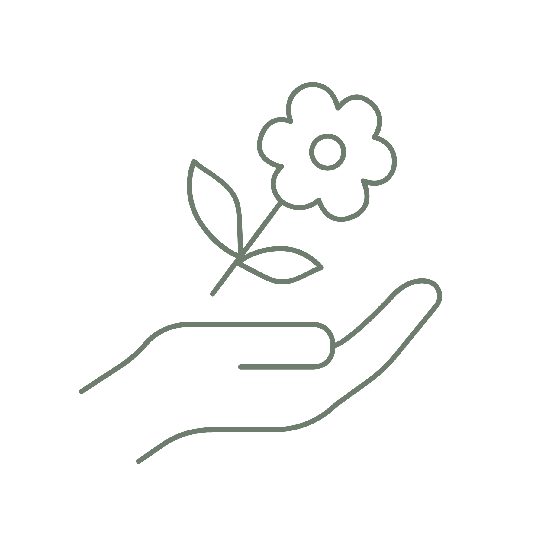 Line drawing of a hand holding a flower with leaves on a white background